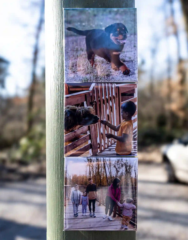 Fotomagnete-Set mit Hund, Kind und Familie beim Spaziergang – für alle, die ihre Tierliebe und Familienzeit sichtbar machen wollen.