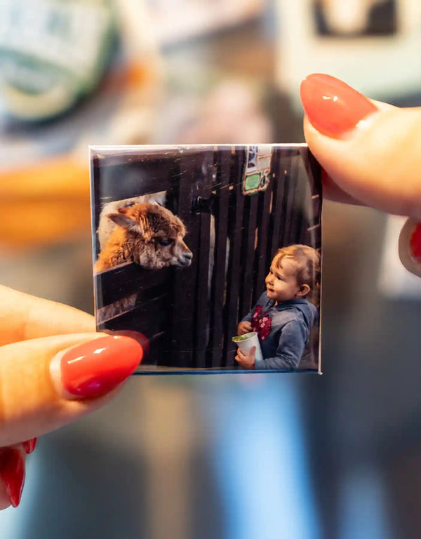 Kind begegnet Lama – süße Erinnerung auf einem personalisierten Fotomagnet zum Selbstgestalten