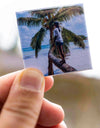 Kind klettert auf einer Palme am Strand – ein Fotomagnet für Fernweh und große Träume.