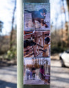 Fotomagnete-Set mit Hund, Kind und Familie beim Spaziergang – für alle, die ihre Tierliebe und Familienzeit sichtbar machen wollen.